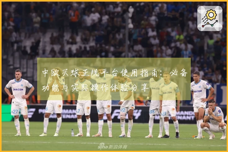 中欧买球正规平台使用指南：必备功能与实际操作体验分享