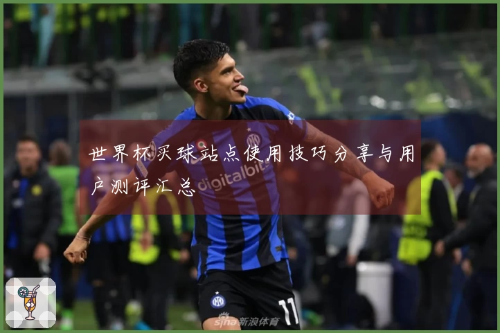 世界杯买球站点使用技巧分享与用户测评汇总