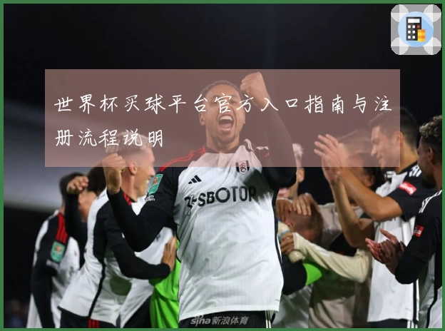 世界杯买球平台官方入口指南与注册流程说明