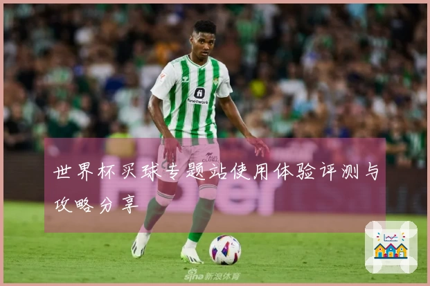 世界杯买球专题站使用体验评测与攻略分享