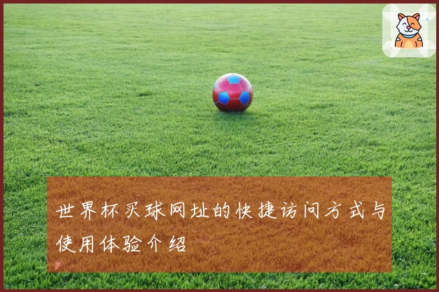 世界杯买球网址的快捷访问方式与使用体验介绍