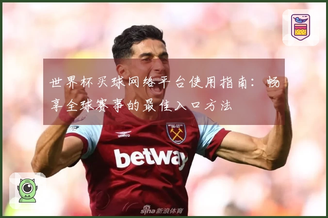 世界杯买球网络平台使用指南：畅享全球赛事的最佳入口方法