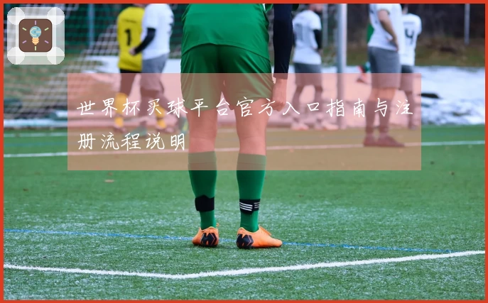 世界杯买球平台官方入口指南与注册流程说明