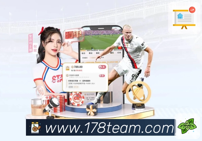 多媒体互动体验